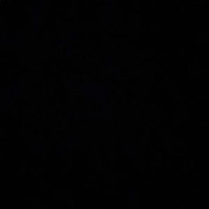 Meet your Posher, Jane